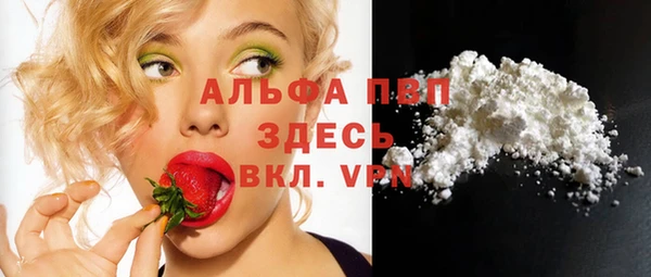 сатива Арсеньев