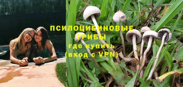 сатива Арсеньев