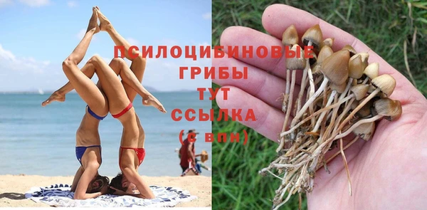 гидропоника Армянск