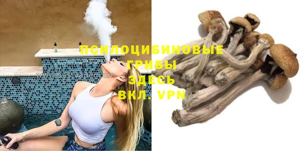 не бодяженный Аркадак