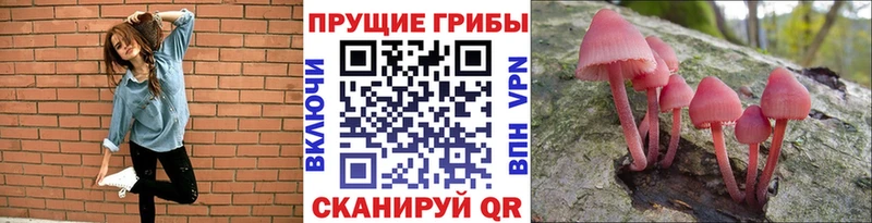 где можно купить наркотик  hydra маркетплейс  Галлюциногенные грибы мухоморы  Ухта 